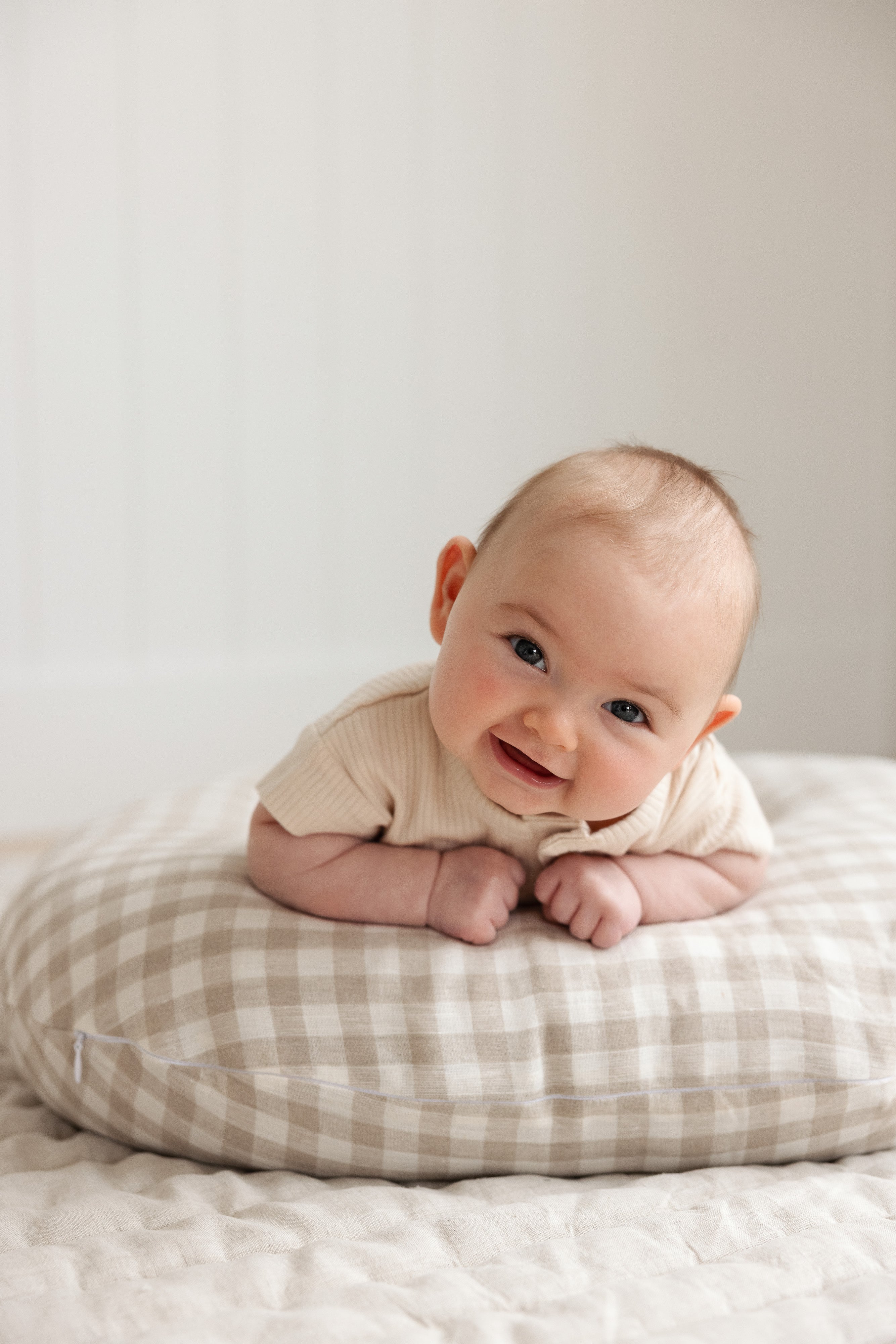 Nursing Pillow & Cover- Gingham