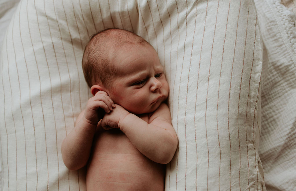 Baby Lounger Nest + Rust Stripe Linen Cover