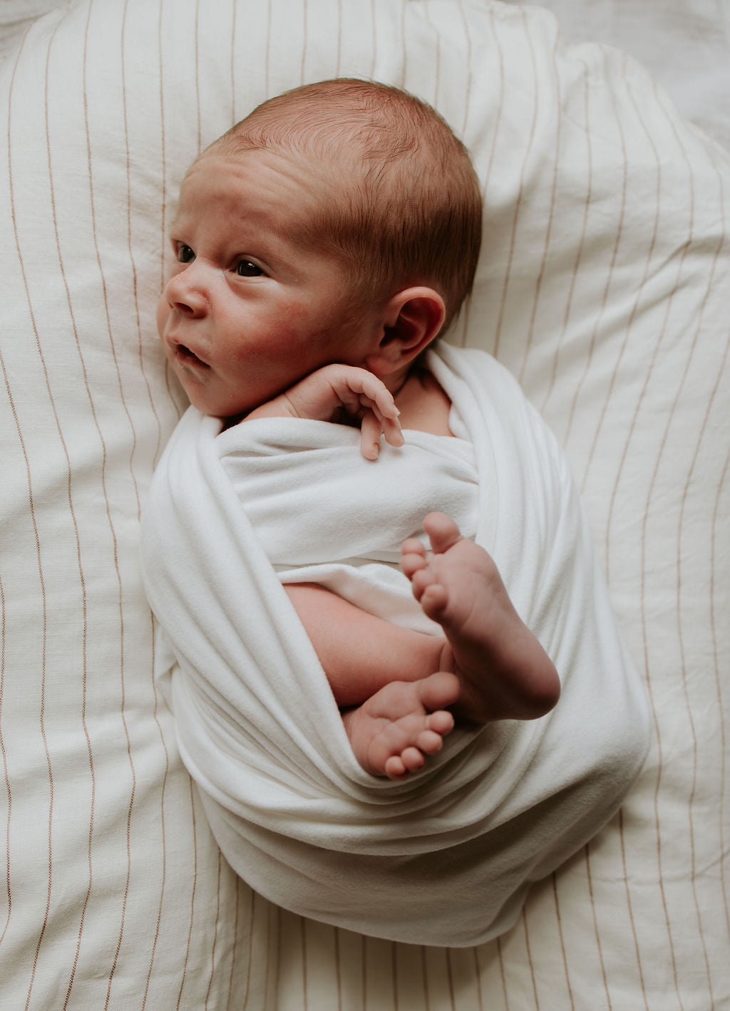 Baby Lounger Nest + Rust Stripe Linen Cover